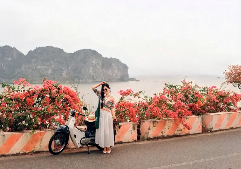 Đi dạo trên con đường ven biển Cát bà